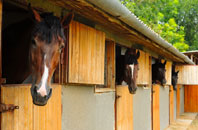 free Harlaxton stable construction quotes